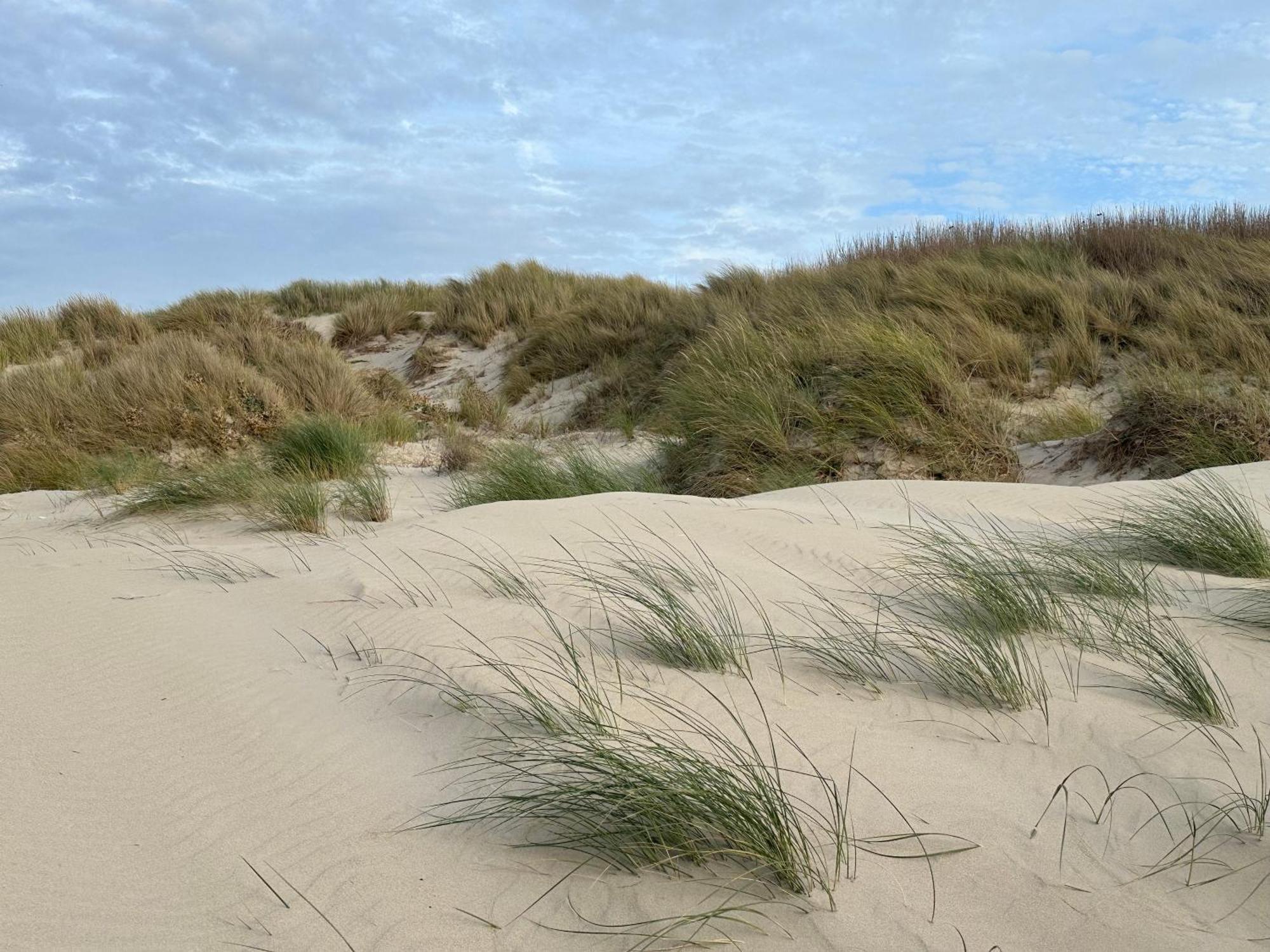 Bleu Blanc Dunes Appartement Plage Merlimont 10 Mn Berck Le Touquet Экстерьер фото